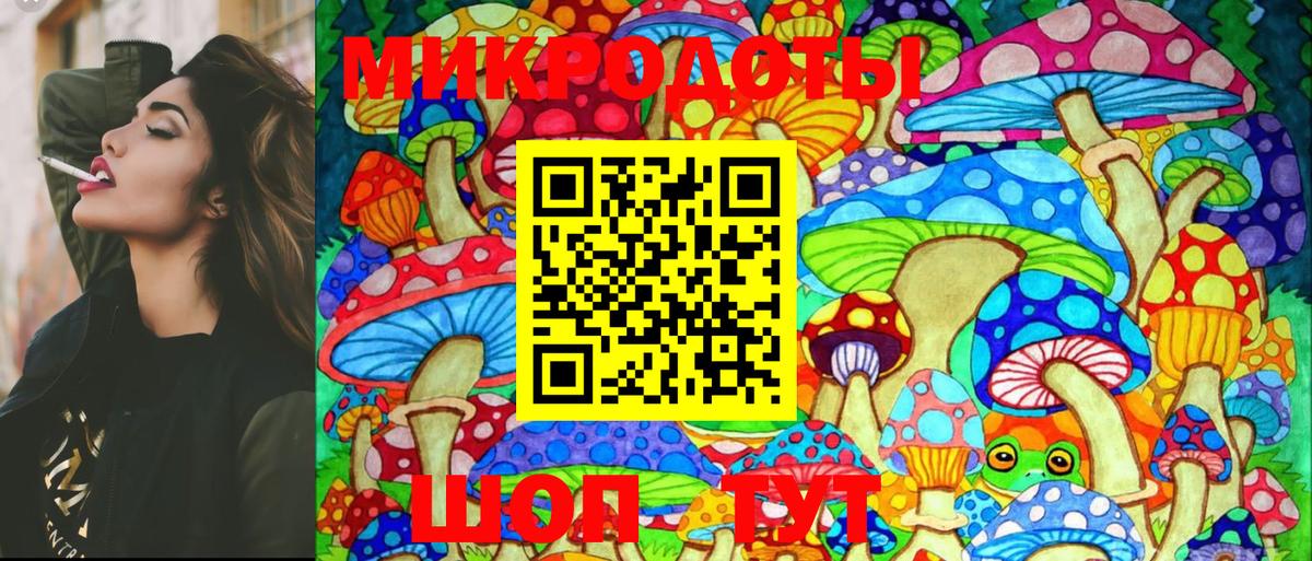 Красноярск  Галлюциногенные грибы Psilocybe  Вход с VPN 